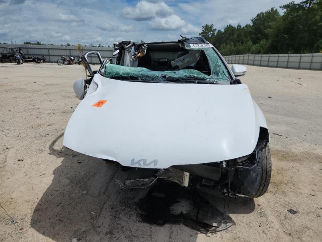 2023 KIA SPORTAGE S 5XYK53AF6PG030638