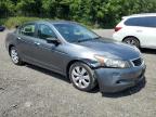 Lot #3301602741 2008 HONDA ACCORD EXL