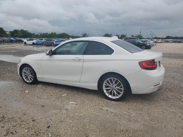 2015 BMW 228 I WBA1F5C56FV256563