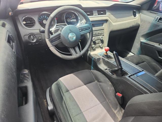 2011 FORD MUSTANG - 1ZVBP8AM8B5142815