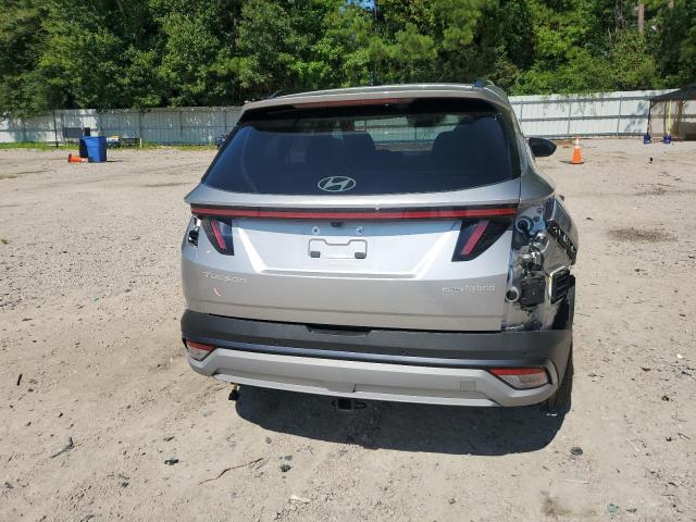 2025 HYUNDAI TUCSON LIM KM8JEDD19SU249520