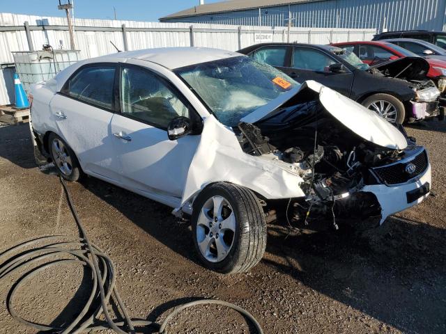 2010 KIA FORTE EX - KNAFU4A24A5309011
