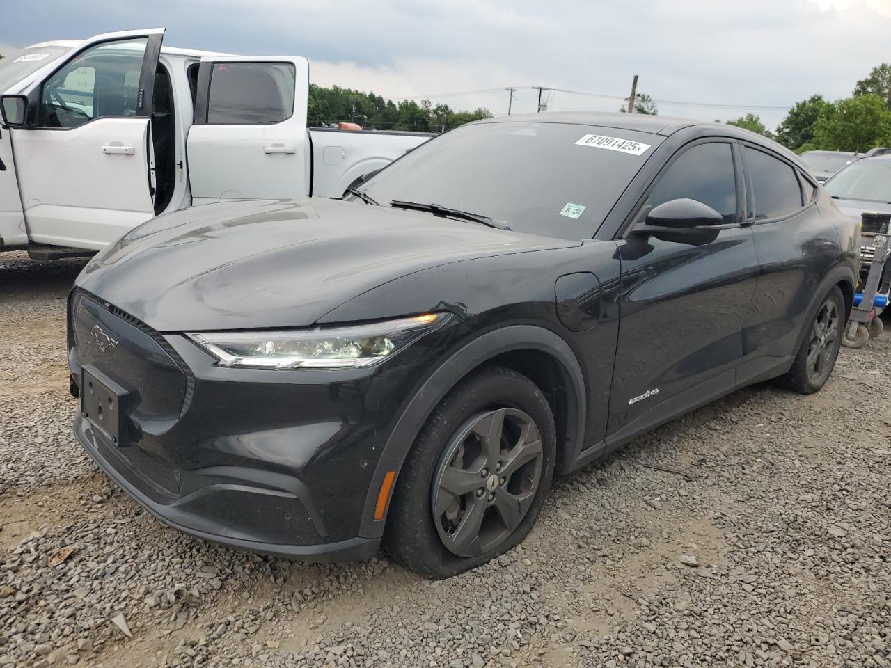 FORD MUSTANG SELECT
