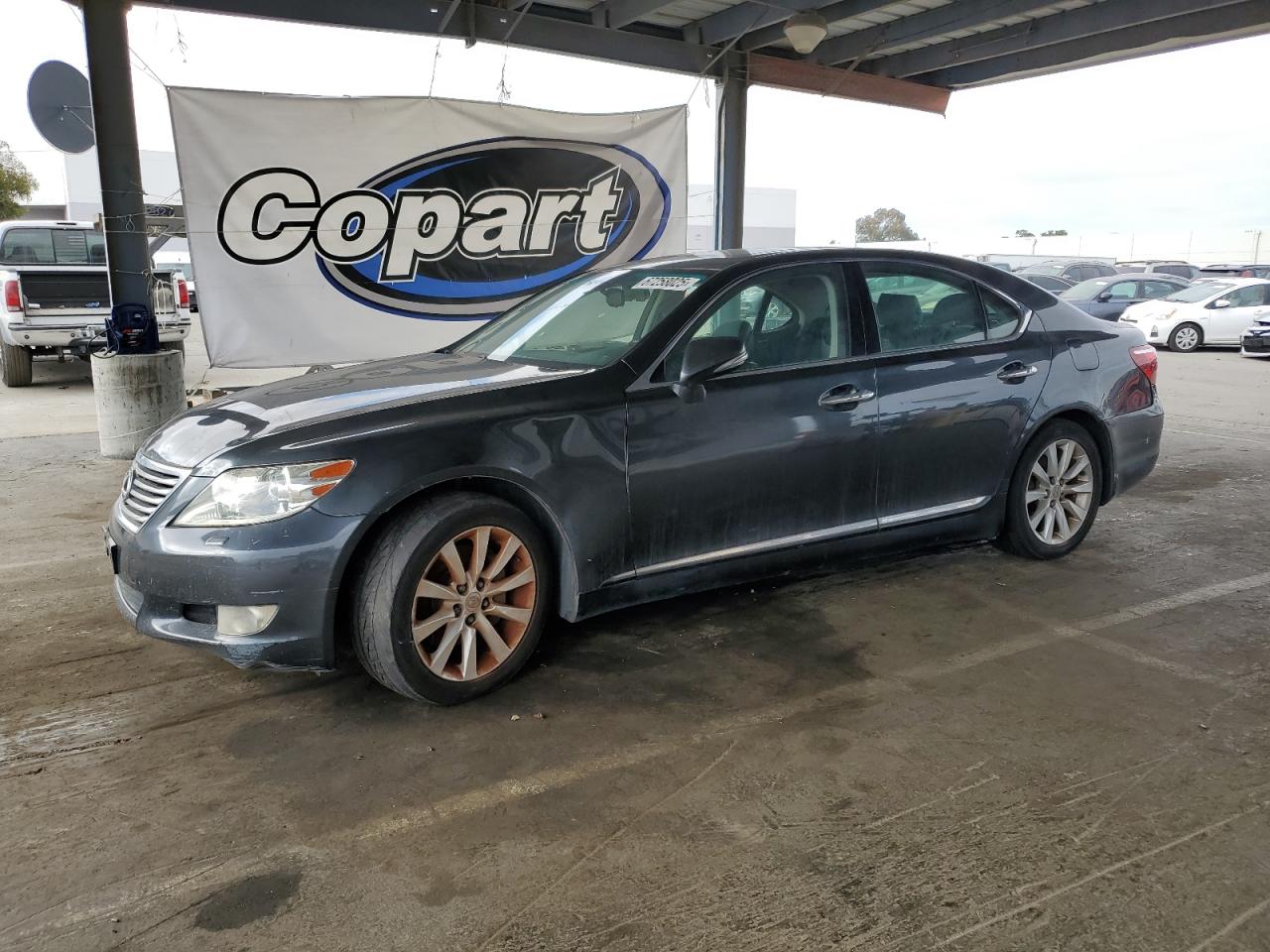 LEXUS LS 460