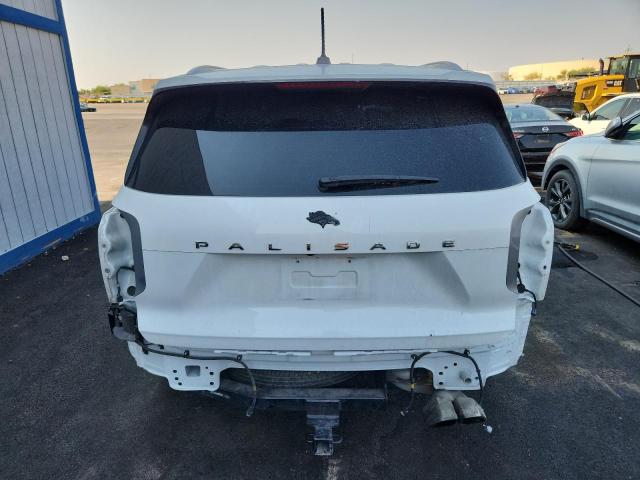 2020 HYUNDAI PALISADE S KM8R24HE4LU057142