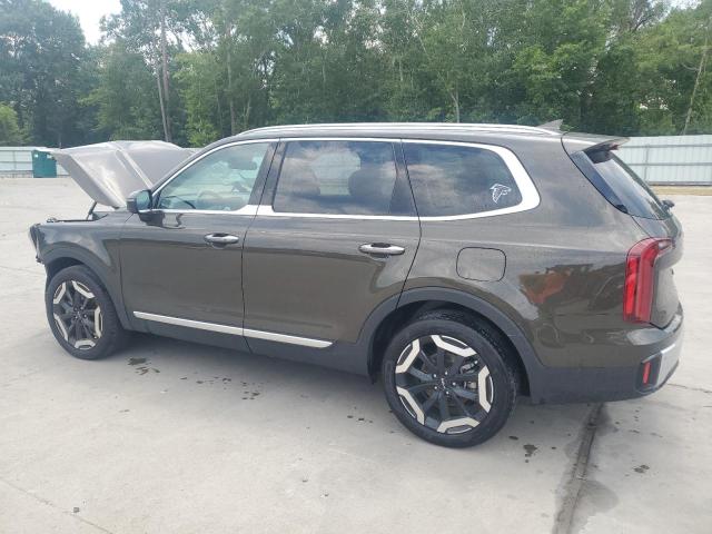 2024 KIA TELLURIDE - 5XYP64GCXRG515289