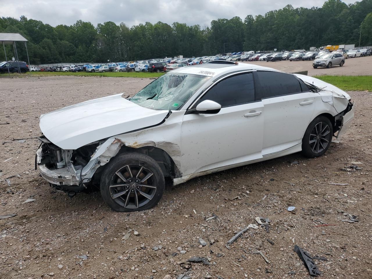 HONDA ACCORD EXL