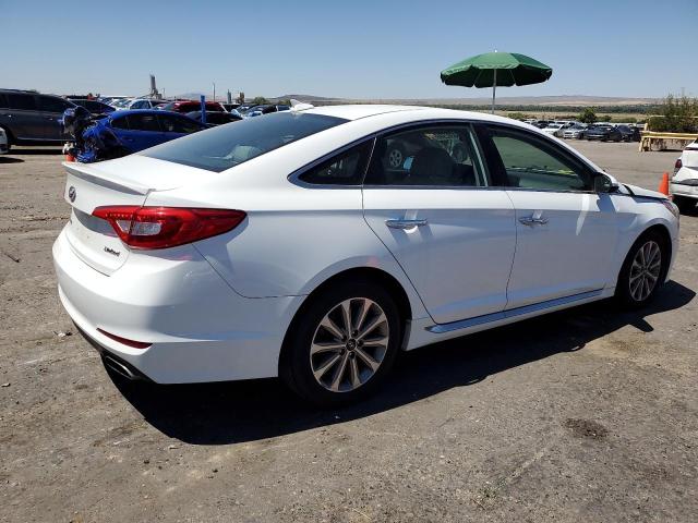 2017 HYUNDAI SONATA SPO 5NPE34AF8HH496896