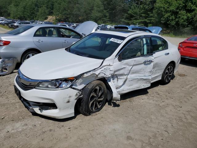 HONDA ACCORD EXL