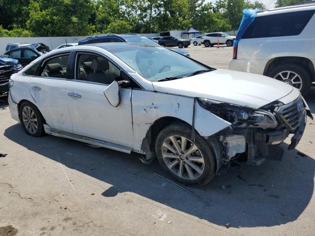 2016 HYUNDAI SONATA SPO - 5NPE34AF4GH334102