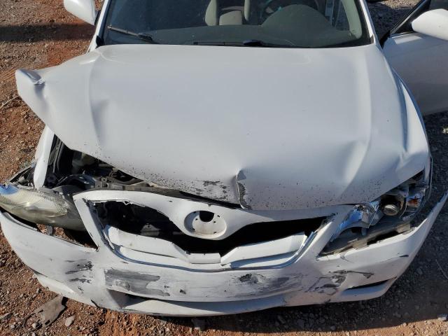 2010 TOYOTA CAMRY BASE - JTNBF3EK6A3001233