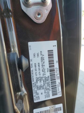 2024 TOYOTA TUNDRA CRE - 5TFJA5DB7RX153408