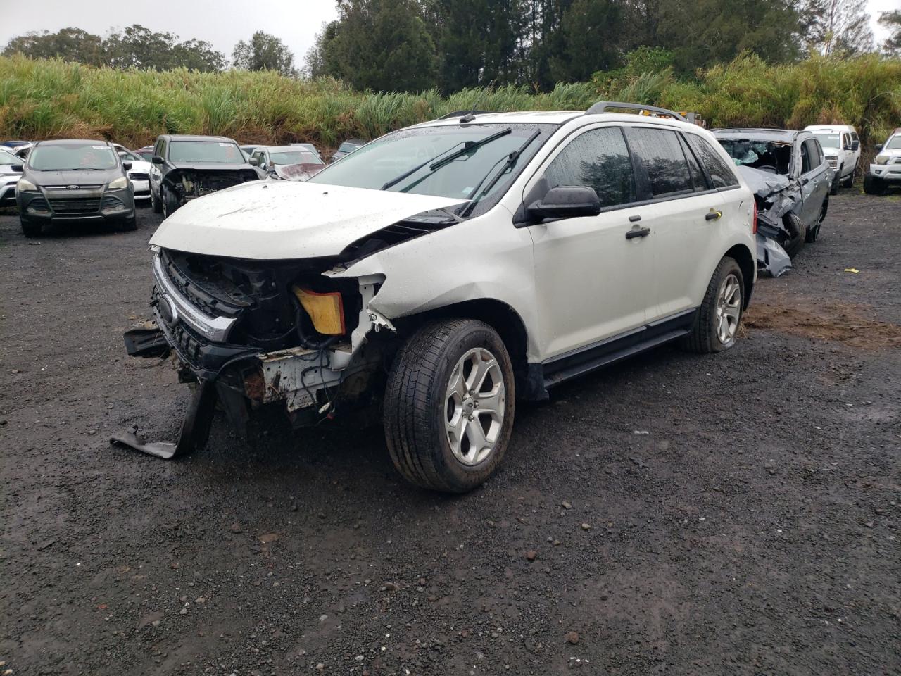 FORD EDGE SE