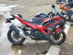 2025 KAWASAKI EX500 - ML5EXGG19SDA41289