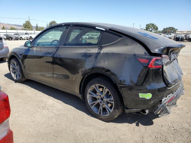 2023 TESLA MODEL Y 7SAYGDEE1PF715569