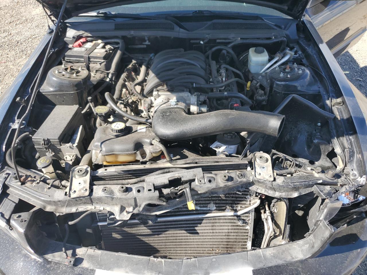 Lot #3211005570 2006 FORD MUSTANG GT