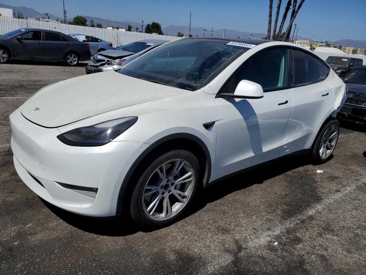 TESLA MODEL Y