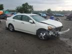 Lot #3296350145 2010 ACURA TSX