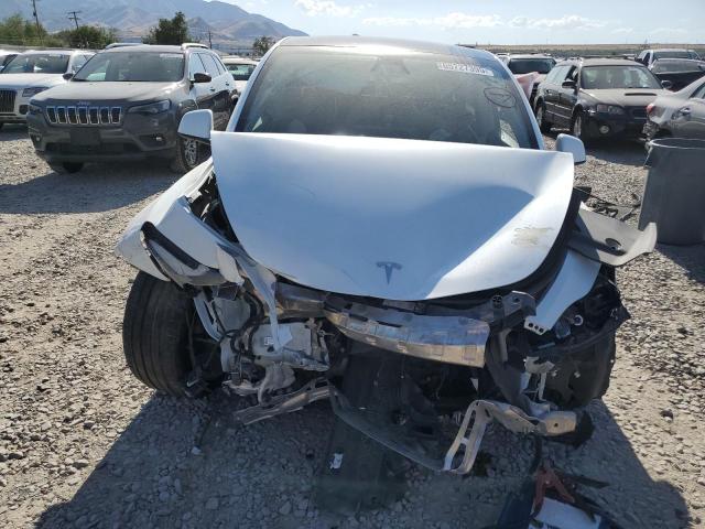 2023 TESLA MODEL Y 7SAYGDEE1PA188436