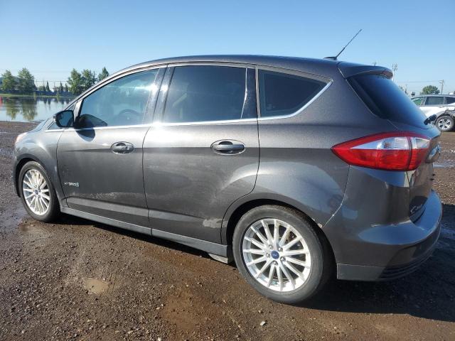 2015 FORD C-MAX SEL 1FADP5BU2FL119045