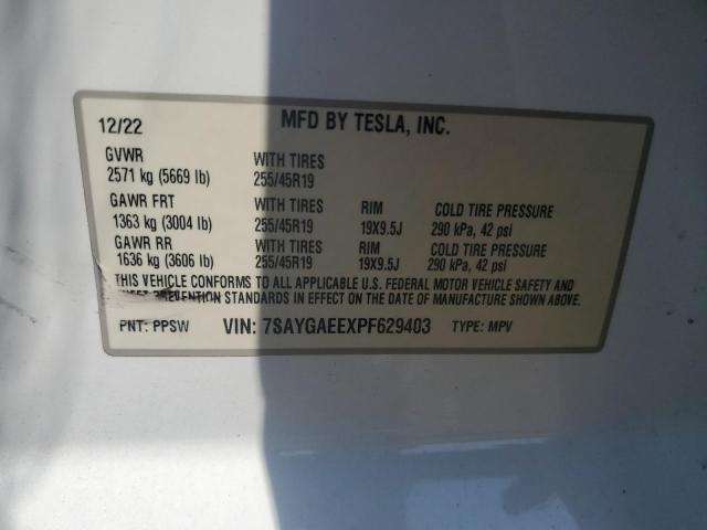 2023 TESLA MODEL Y 7SAYGAEEXPF629403