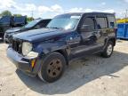 Lot #3303930691 2011 JEEP LIBERTY SP