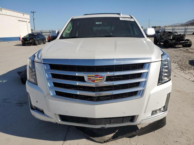 2019 CADILLAC ESCALADE P 1GYS4CKJ6KR177679