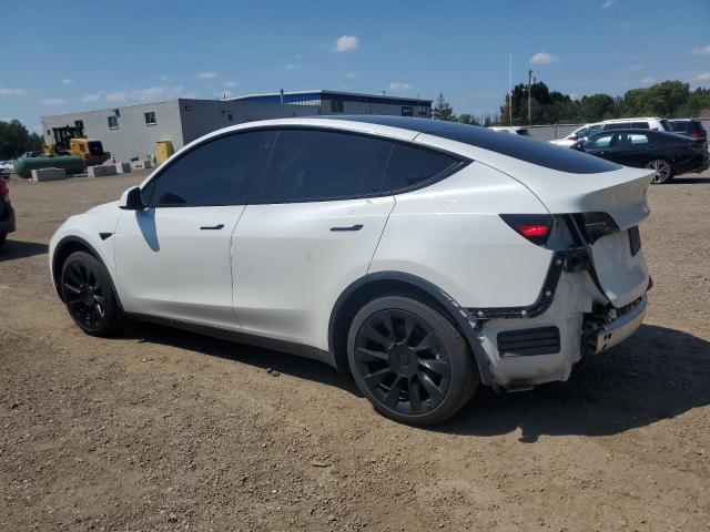 2022 TESLA MODEL Y 7SAYGDEE2NF564402