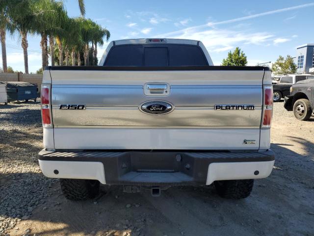 2010 FORD F150 SUPER - 1FTFW1EV0AFD66719