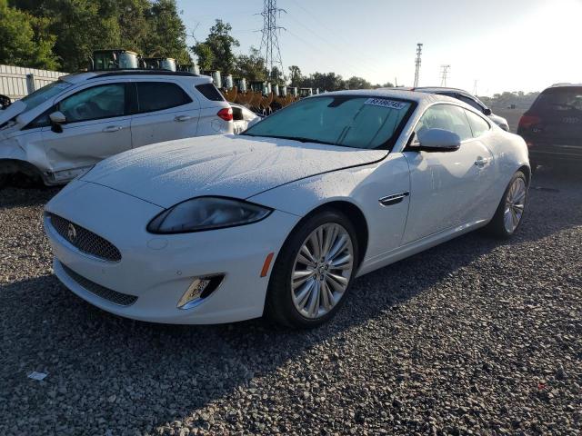 JAGUAR XK