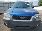 Lot #3304673942 2007 FORD ESCAPE XLT
