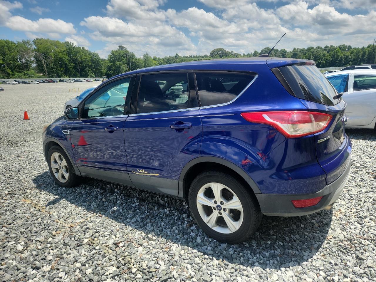 Lot #3203157823 2014 FORD ESCAPE SE