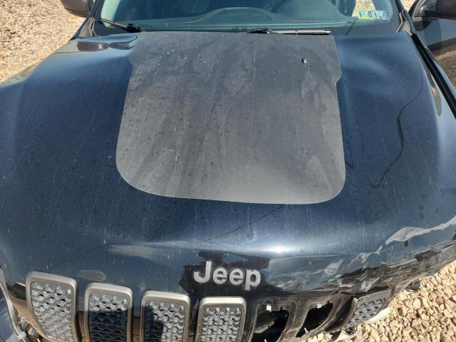 2019 JEEP CHEROKEE T 1C4PJMBX5KD347512