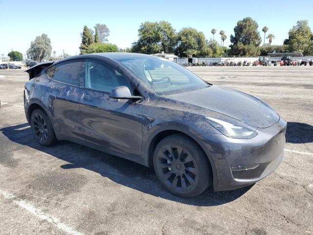 2024 TESLA MODEL Y 7SAYGDEE9RA233125