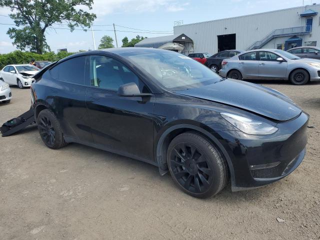 2024 TESLA MODEL Y - 7SAYGDEE2RF012419