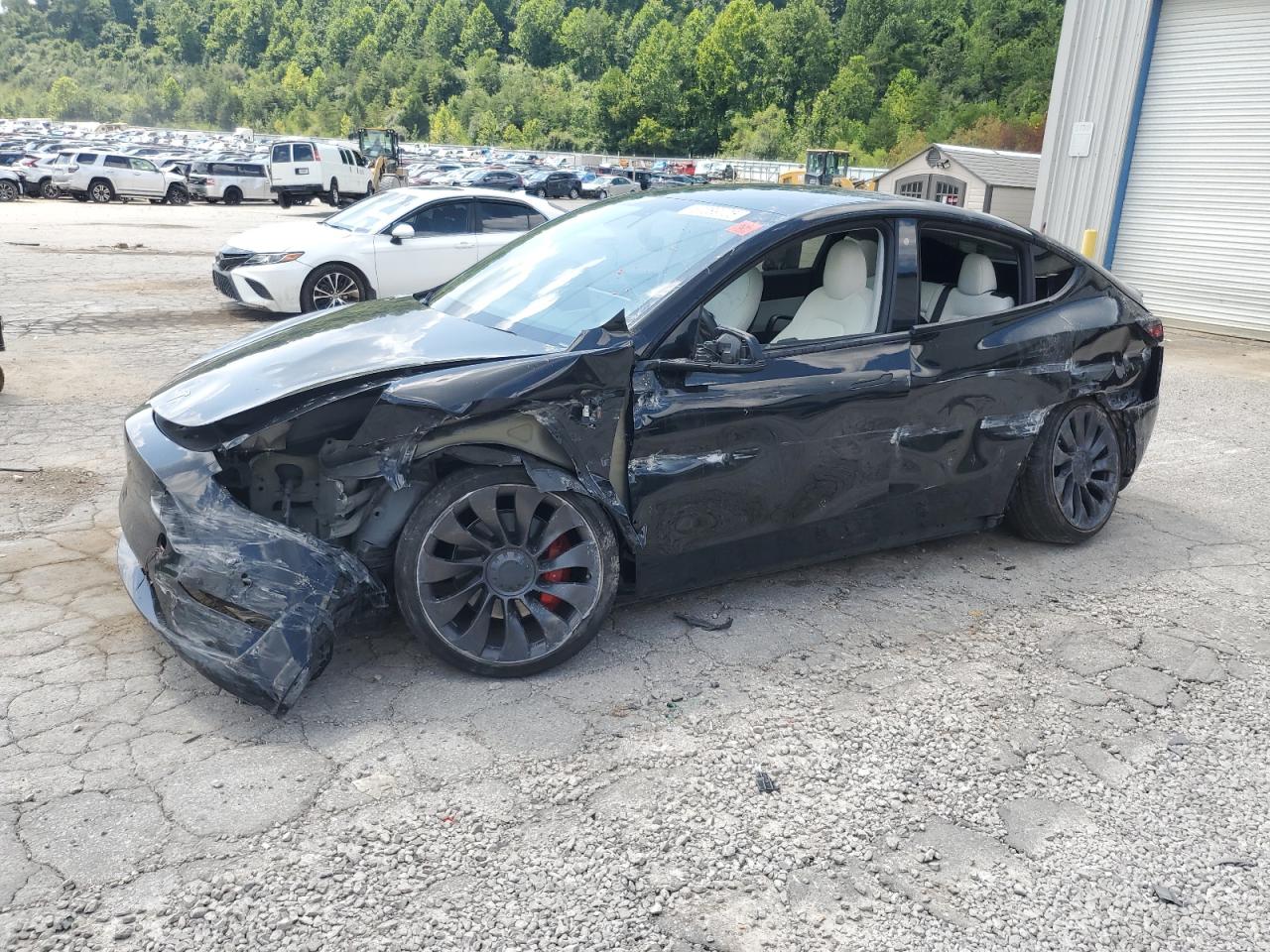 TESLA MODEL Y