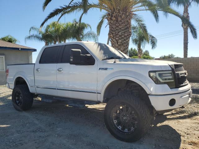 2010 FORD F150 SUPER - 1FTFW1EV0AFD66719