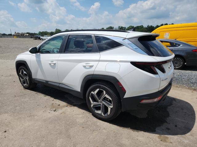 2024 HYUNDAI TUCSON SEL - 5NMJFCDE7RH381613