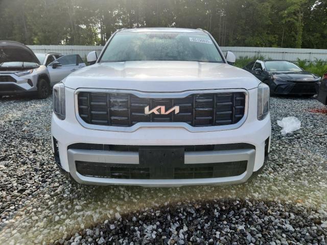 2024 KIA TELLURIDE 5XYP6DGC1RG495594