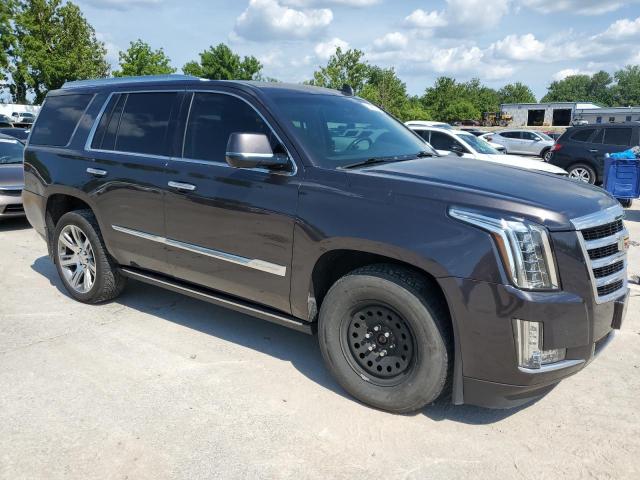 2016 CADILLAC ESCALADE P - 1GYS4CKJ2GR341579