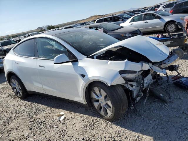 2023 TESLA MODEL Y 7SAYGDEE1PA188436