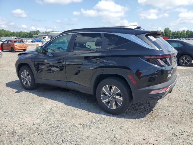 2022 HYUNDAI TUCSON BLU KM8JBCA17NU075779