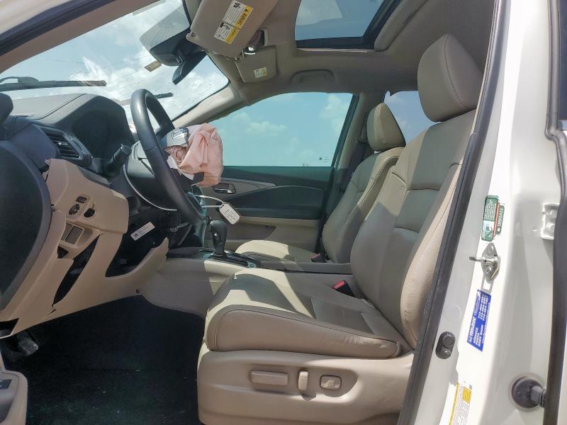 2019 HONDA PILOT EXL 5FNYF6H51KB080059