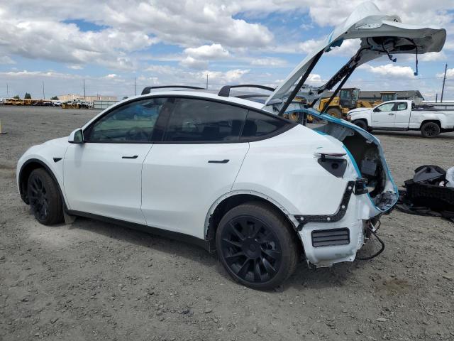 2025 TESLA MODEL Y 7SAYGAEE0SF295973