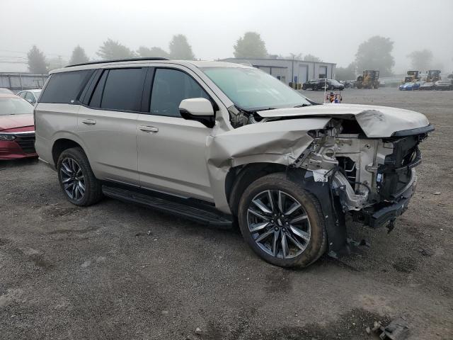 2021 CADILLAC ESCALADE S 1GYS4GKL5MR435847