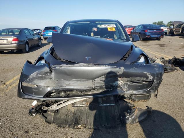 2023 TESLA MODEL Y 7SAYGDEE2PF895290