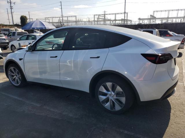 2023 TESLA MODEL Y 7SAYGDEE6PF928436