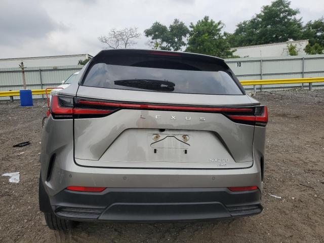 2025 LEXUS NX 250 BASE 2T2ADCEZ7SC005749
