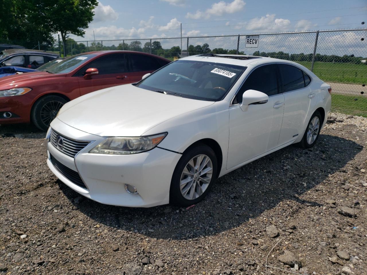Lot #3230584871 2013 LEXUS ES 300H