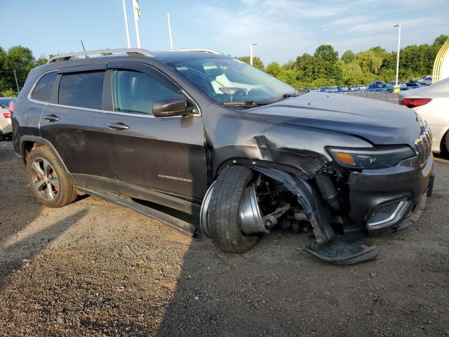 2019 JEEP CHEROKEE L 1C4PJMDN9KD150726